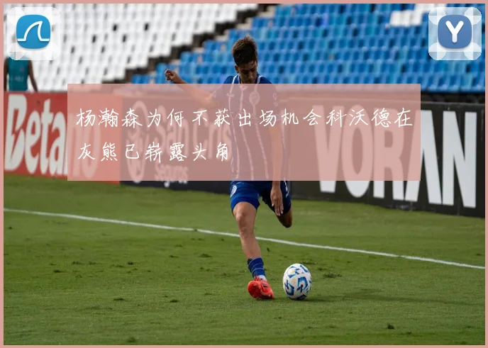 杨瀚森为何不获出场机会科沃德在灰熊已崭露头角