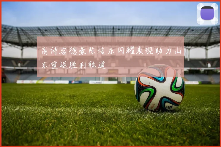 高诗岩德豪陈培东闪耀表现助力山东重返胜利轨道