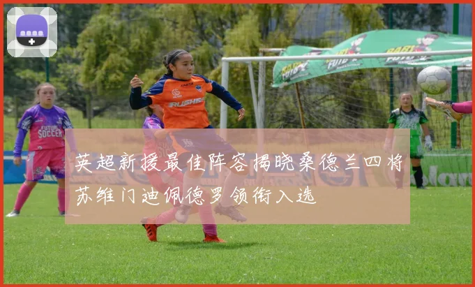 英超新援最佳阵容揭晓桑德兰四将苏维门迪佩德罗领衔入选